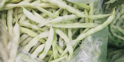白不老炒肉所需的食材整齐摆放在案板上，包括新鲜的白不老、猪肉、青红椒和调味料