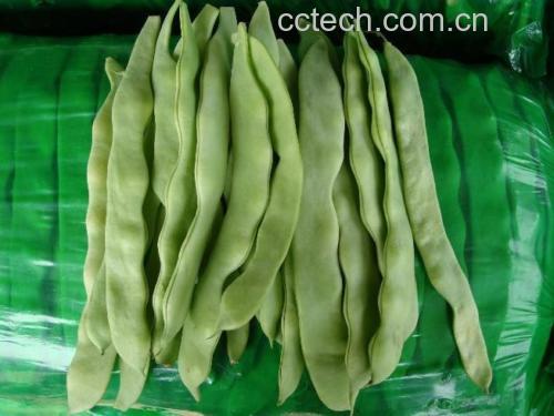 绿扁豆的挑选与储存指南