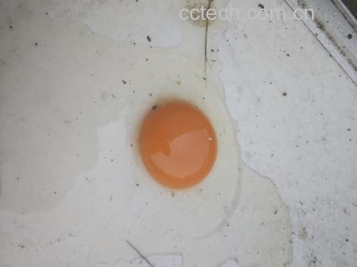 黑芝麻与鸡蛋的对比图
