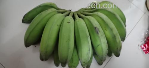 南瓜香蕉小米粥食材展示