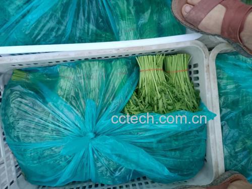 厨房冰箱中存放的熟茼蒿容器
