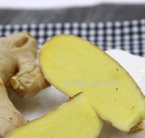 子姜切片与蒸制前后对比