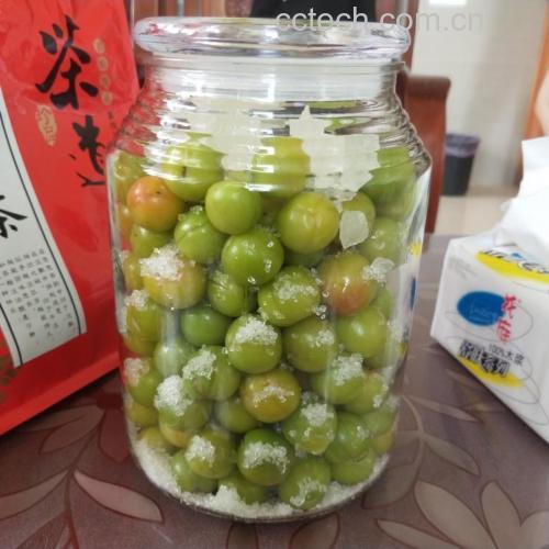 腌制青李子的过程