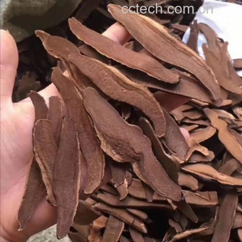 黑灵芝提取物产品包装与食用场景图