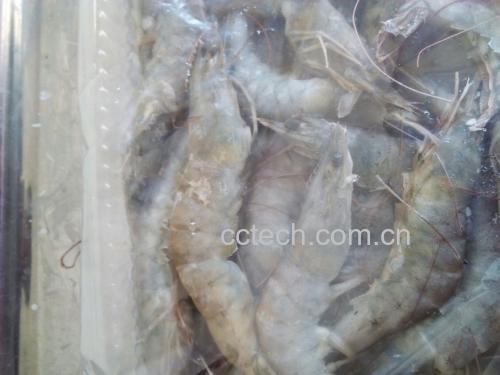 挑选新鲜对虾