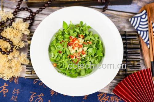 夏季健康饮食全家福