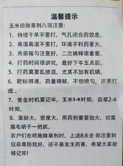 玉米田间喷洒除草剂现场图