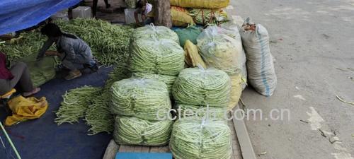 四季豆与其它蔬菜一起摆放在市场摊位上的图片