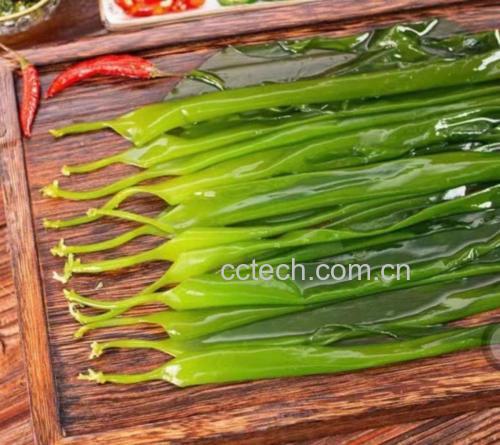 海带片均匀铺在烤盘上，准备烘烤