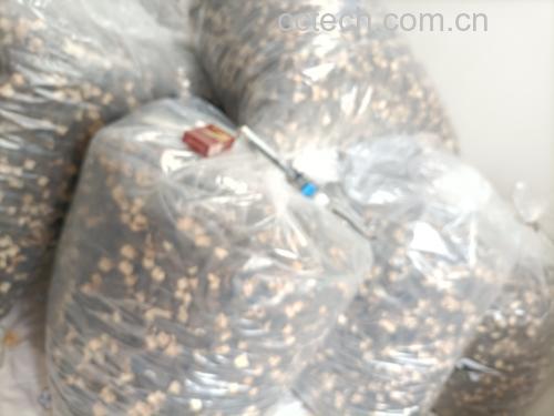 羊肚菌清洗过程