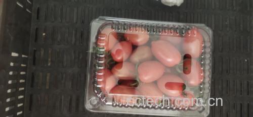 挑选新鲜柿子