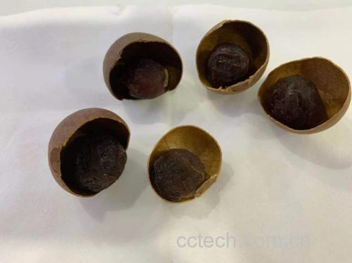 桂圆煮水示意图