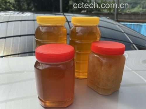 蜂蜜的季节性展示图