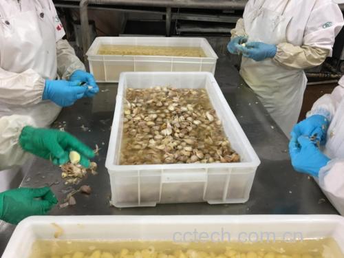 大蒜提取物的实验室操作