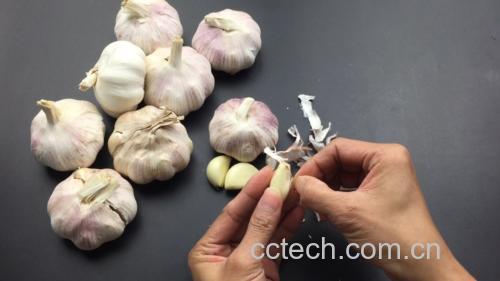 蒜苔手工抽出过程图