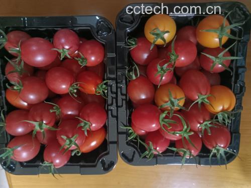 圣女果与其他食材搭配图