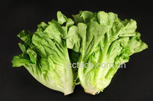 生菜与芥菜营养成分对比图