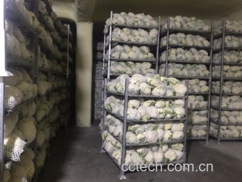 菜花正确储存方法示意图