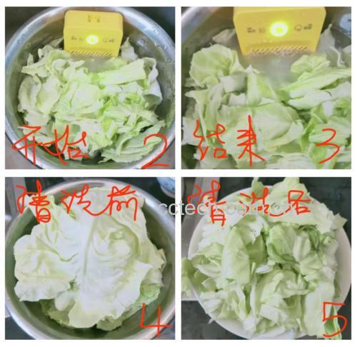 白菜清洗与切配
