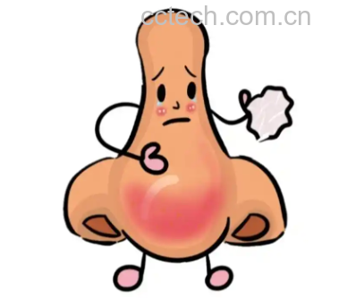 豌豆过敏症状示意图