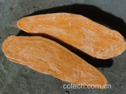 红薯切开展示内部橙色果肉