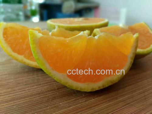 新鲜切开的夏橙特写图