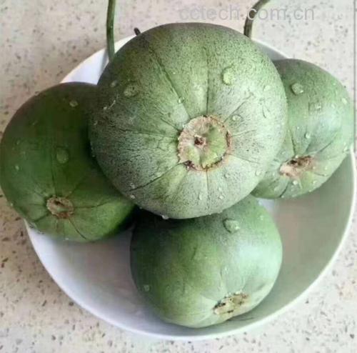 甜瓜摆盘图