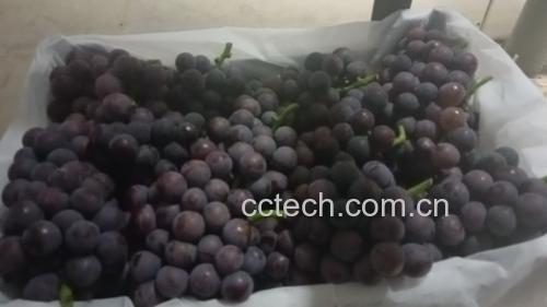 巨峰葡萄与健康饮食搭配