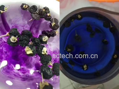 黑枸杞泡水呈现蓝色