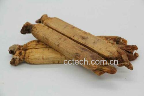 高丽参保存状态对比图