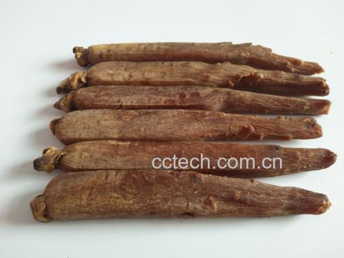 高丽参与西洋参的外观对比