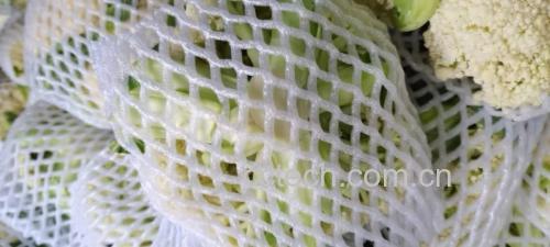 薯藤梗与松花菜清洗处理图