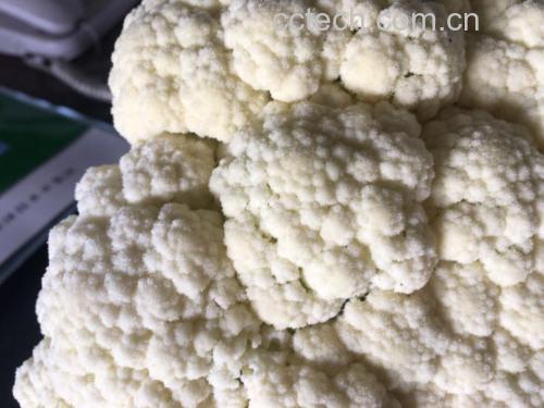 薯藤梗与白面青梗松花菜翻炒过程