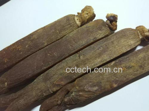 高丽参红参的外观与制作过程