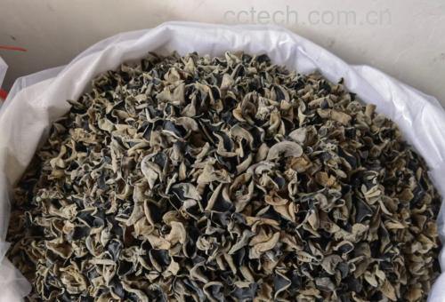 干木耳市场价格走势图