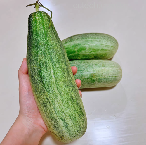 羊角蜜甜瓜外观特写