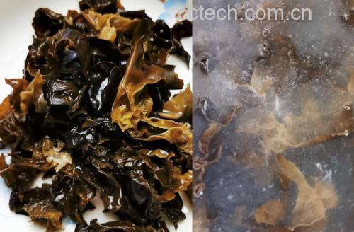 干海带不同储存方式对比图