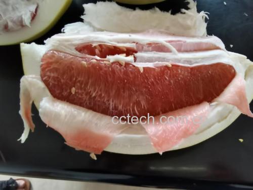 红心柚果肉剖面图