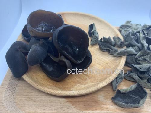 秋木耳与木耳丝对比图
