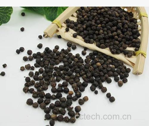 黑胡椒粒的清洗与晾干