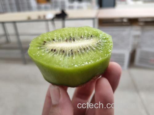 翠香猕猴桃切开展示果肉细腻质地