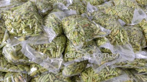泡椒与萝卜处理图