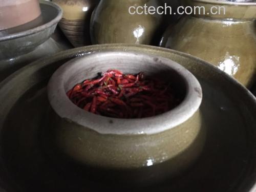 泡椒坛子与新鲜红辣椒