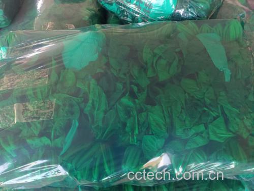 菠菜汁成品图