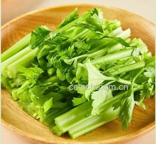 芹菜沙拉搭配图