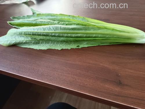 油菜健康搭配示意图
