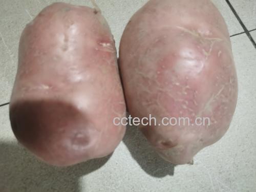 生菜与土豆的食材搭配展示图