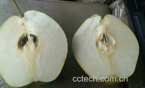 梨的营养成分分析图