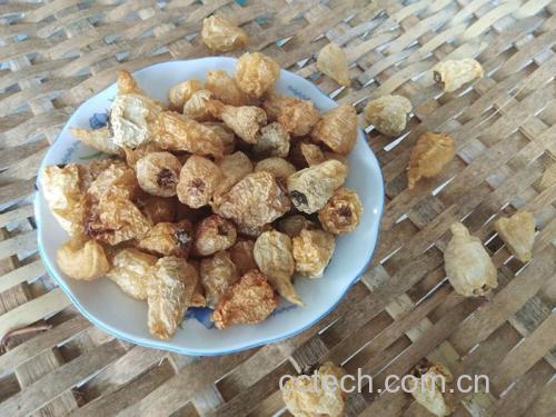 辣椒与食材搭配图