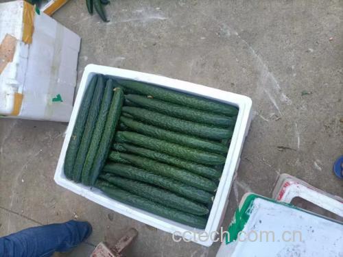 腐竹泡发过程